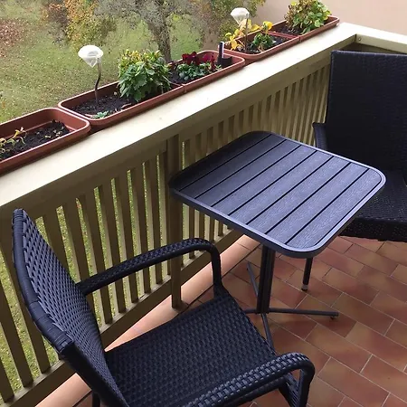 Ferienwohnung Grimmer Weil am Rhein Buitenkant foto